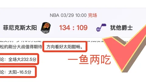 欧冠对决：哈格里夫斯深度剖析：齐达内与罗纳尔多，谁称霸锋芒？
